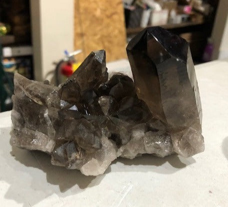 Smoky Quartz Cluster 534g