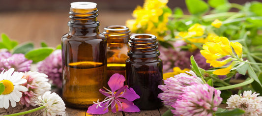 Essential Oils for Your Health