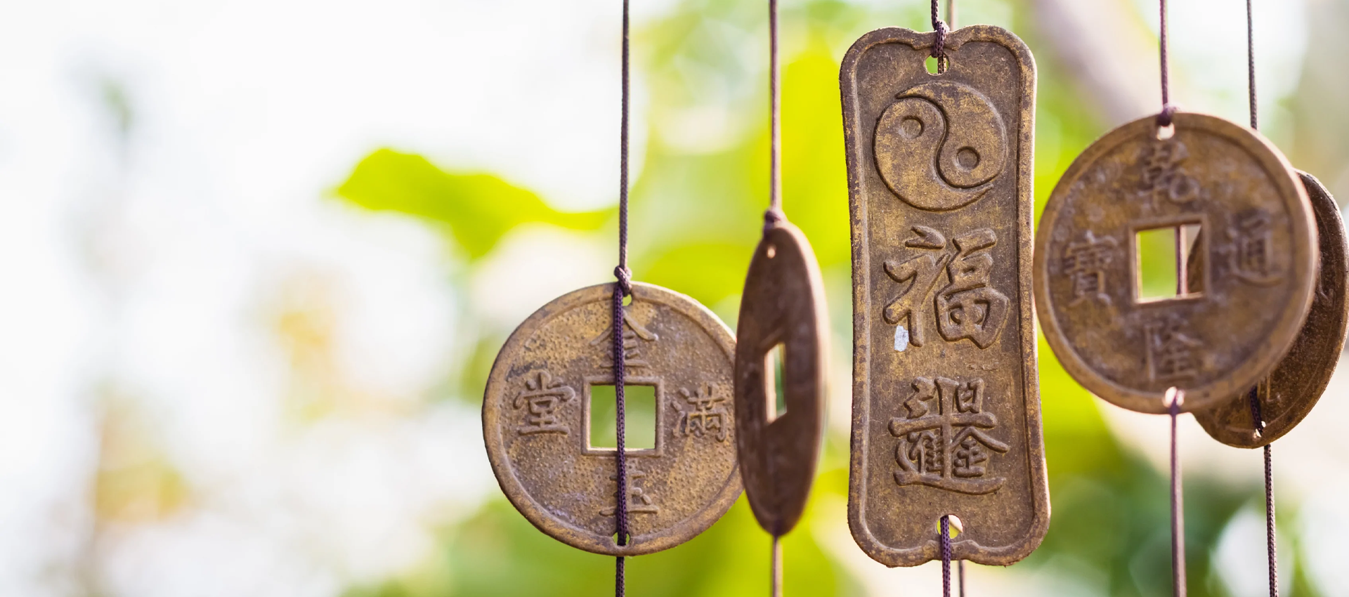 Chinese Astrology Bazi Destiny for the Year